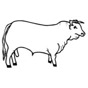 COW001