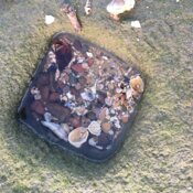 Square rockpool